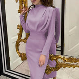DERMEARNE 2024 Autumn Solid Bodycon Midi Dress Turtleneck Long Sleeve Slim Office Lady Sexy Office Lady Blue Party Dresses For Women Work