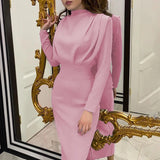 DERMEARNE 2024 Autumn Solid Bodycon Midi Dress Turtleneck Long Sleeve Slim Office Lady Sexy Office Lady Blue Party Dresses For Women Work